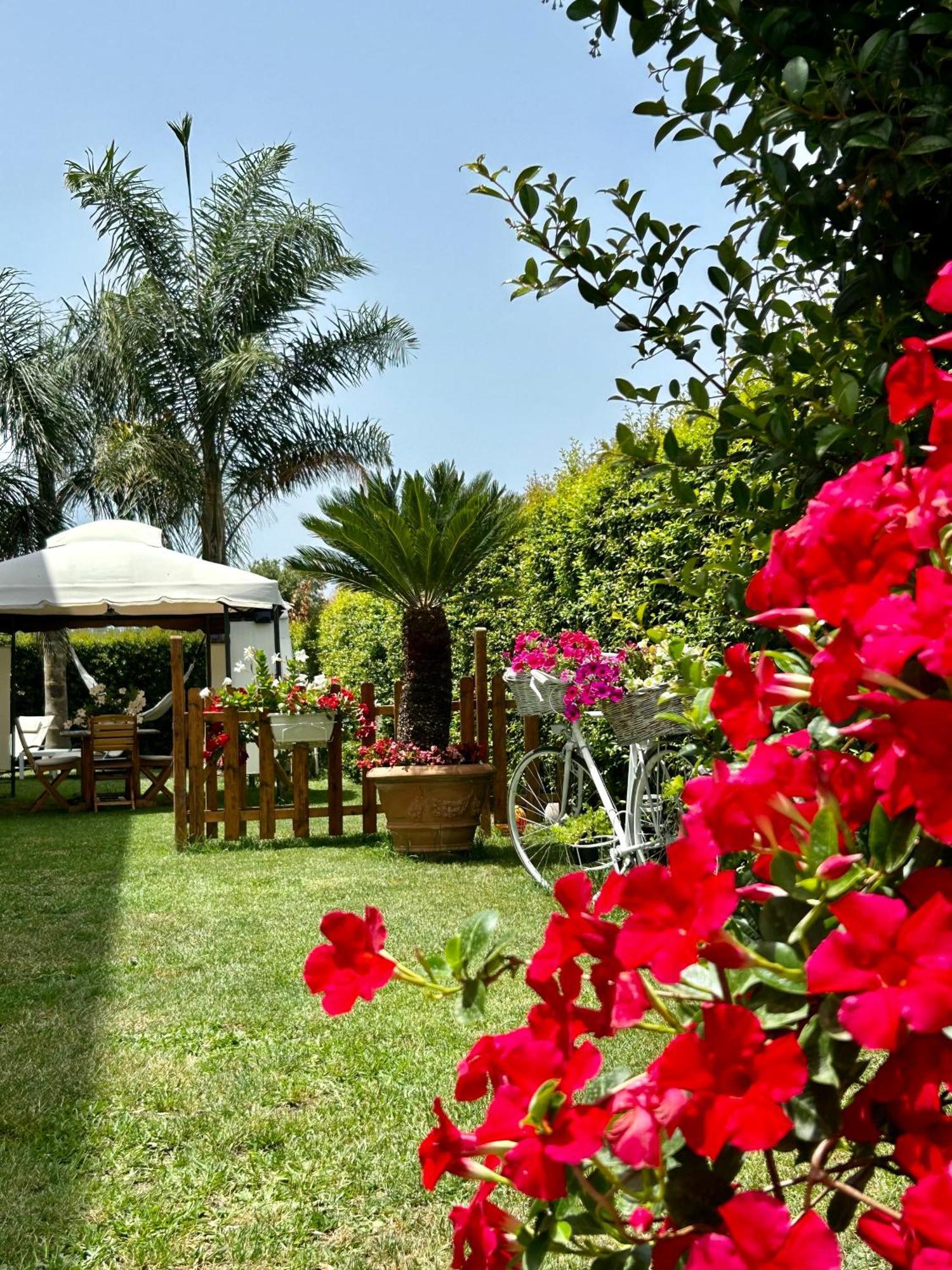 Апартаменты Alto Giardino Цамброне Экстерьер фото