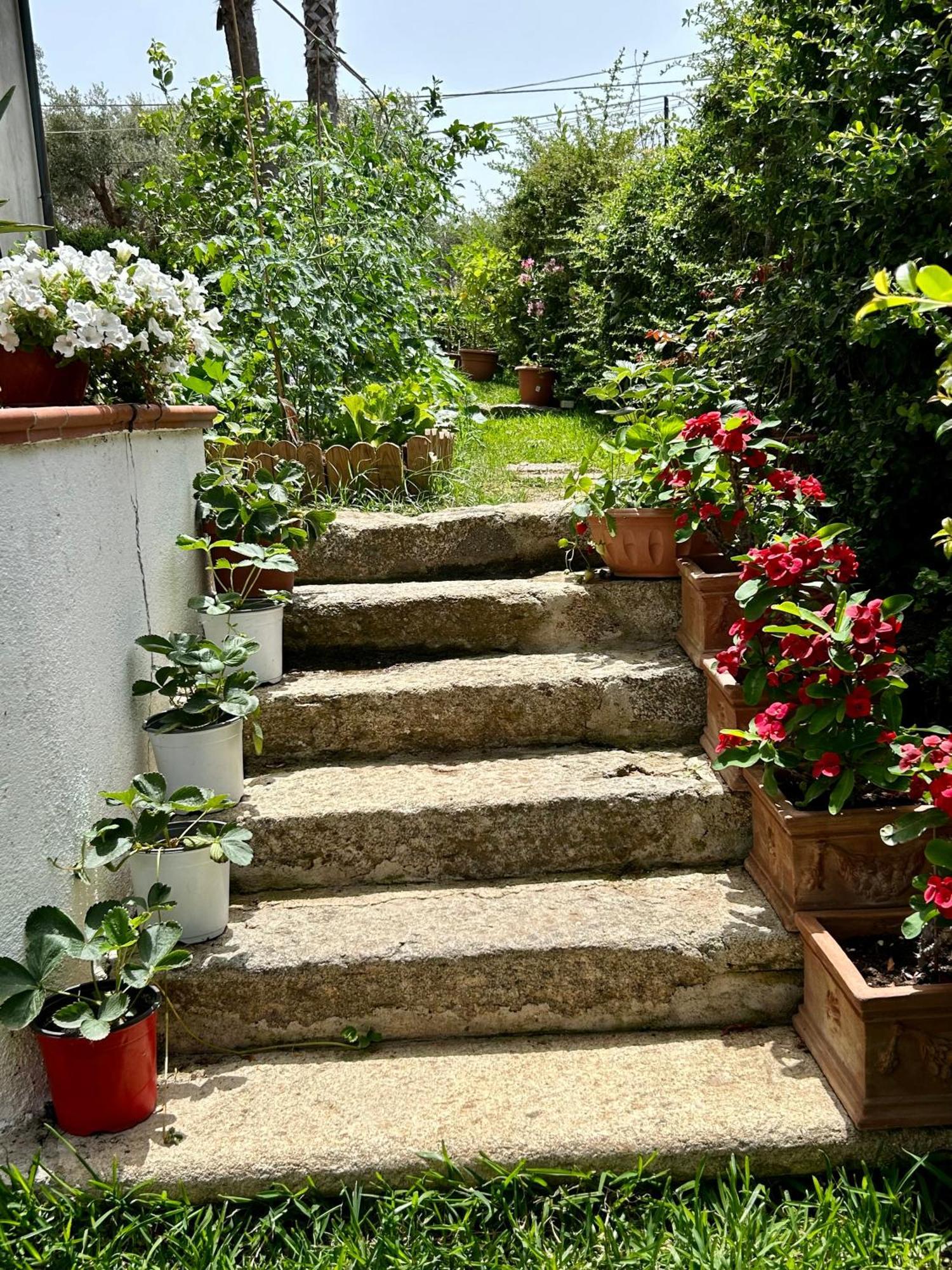 Апартаменты Alto Giardino Цамброне Экстерьер фото